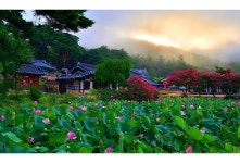오정오웍스 | 베스트갤러리 - 종오정의 여명