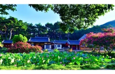 오정오웍스 | 베스트갤러리 - 아침에 보는 종오정의 여름