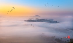 베스트갤러리 - 퍼주들녘......