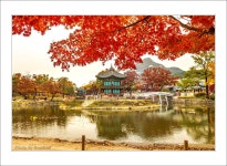 추천갤러리 - 향원정