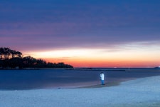 (주)여명선 - 해남군 | 추천갤러리 - 명선도의 여명