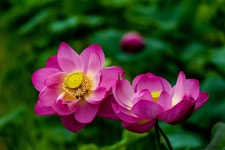 신 연지 대리점 | 추천갤러리 - 연지에서