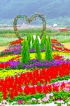 추천갤러리 - 천상의화원