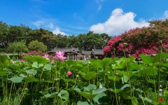 오정오웍스 | 풍경갤러리 - 종오정