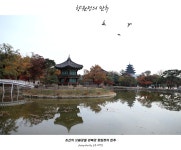 풍경갤러리 - 향원정의 만추