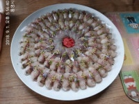 바다낚시 > 점주선장조황 > 통영저도해상펜션과 내만좌대~전갱이와 고등어들의 조황정보~^^