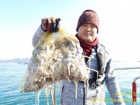 황금피싱낚시체험장 | 바다낚시 > 점주선장조황 > (도리스피싱)황금물때 이틀연속 망태기가득~~