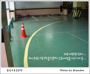 인라인스케이트장 좌측 지압코스 내부 - 2270 | 인라인장 - 자유 갤러리 - 닥터스파크