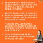 에스티에이어학원 | 학원소식 :: 디스쿨