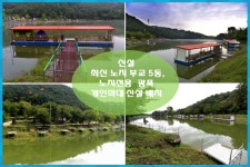 양평 수곡낚시터 주중조황 좋아지고 있습니다 : 낚시사랑