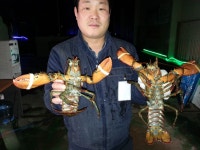 예지실내낚시터 1월27일 대게이벤~~ : 낚시사랑