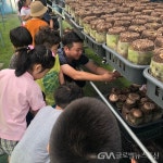 협동조합꿈꾸는문화놀이터뜻제주지부 | 우리 마을 문화놀이터로 놀러오세요! - 글로벌뉴스통신GNA 우리 마을 문화놀이터로 놀러오세요!