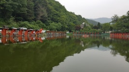 조황센터 | 피쉬앤피플 6월 첫주 황금 연휴