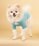 웁시데이지 OOPSIE DAISY 이름인쇄 Name T-shirt Sky Blue (2XL-3XL)