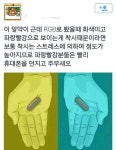 펀글게시판 - 이게 무슨색으로보이세요?(페이스X 색논란)