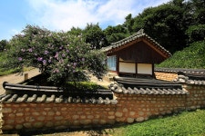 풍경갤러리 - 무궁화와 고택