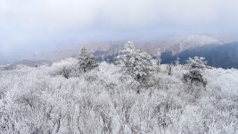 계방산자연민물매운탕 | 풍경갤러리 - 계방산