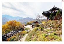 풍경갤러리 - 청도 운문사의 가을