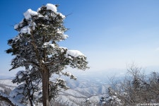 계방산자연민물매운탕 | 풍경갤러리 - 계방산