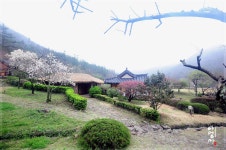 운림산방토산품판매장 | 풍경갤러리 - 운림산방