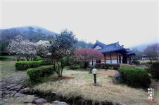 운림산방토산품판매장 | 풍경갤러리 - 운림산방