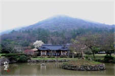 운림산방토산품판매장 | 풍경갤러리 - 운림산방