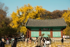 풍경갤러리 - 전주 향교