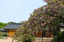 풍경갤러리 - 낙화...