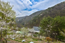 꽃피는항골 | 풍경갤러리 - 꽃피는 산골