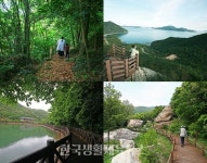 (주)난대림(4종) | "5월엔 국내 유일의 난대림으로 가야 해" - 한국생활체육뉴스 "5월엔 국내 유일의 난대림으로 가야 해"