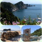 Foto de resultados de búsqueda de Naver 4