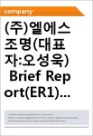 엘앤비라이팅 | (주)엘에스조명(대표자:오성욱) Brief Report(ER1)-영문