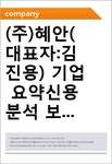 주-혜안지반 | (주)혜안(대표자:김진용) 기업 요약신용분석 보고서(CR1)-국문