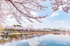 (재)아름다운가게 수원행궁점 | 아름다운 자연 : 수원관광 (HOME) > 수원관광 > 아름다운 자연 수원관광