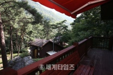 Naver search result photo 2