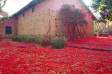 A Mass of Tangled Red Yarn Unravels from a Loom to Overtake a Brazilian Chapel | Colossal A Mass of Tangled Red Yarn Unravels...
