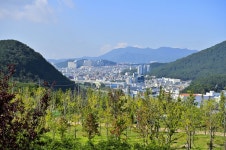 Фото из результатов поиска Naver 1