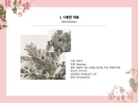 타파웨어빛나리홈파티스연암점 | 상세 < 주나리 < 수업자료실 < 학사안내 | 연암대학교