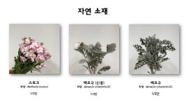 타파웨어빛나리홈파티스연암점 | 상세 < 주나리 < 수업자료실 < 학사안내 | 연암대학교