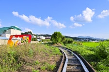 Naver search result photo 4