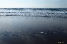 Eden & Pear | [제주시] 삼양 검은모래해변 - Daum 카페 [제주시] 삼양 검은모래해변