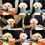 배우 뺨치는 노엘의 다양한 표정... - 자유게시판 출사코리아