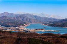 황량한 시절 - 작품갤러리 출사코리아