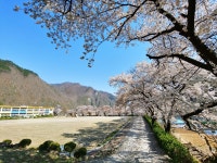 소달 동문들의 사랑방 | 밴드