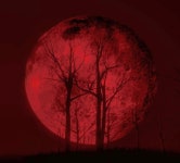 척안재담 隻眼才談 - 완결기념 통합링크