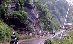 니마! | 보배드림 유머게시판