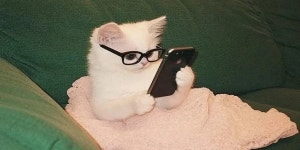 夏休み - 인스티즈(instiz) 픽션 카테고리 夏休み