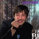 에즈라 밀러 근황 - 인스티즈(instiz) 이슈 카테고리 에즈라 밀러 근황