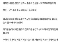 두로 산다는 것.txt - 인스티즈(instiz) 인티포털 카테고리 두로 산다는 것.txt