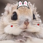 채 니 도의 프로필 | 스푼 Spoon